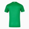 Conjunto (Camiseta+Pantalón Corto) Irlanda Primera Equipación 2024-25 - Niño